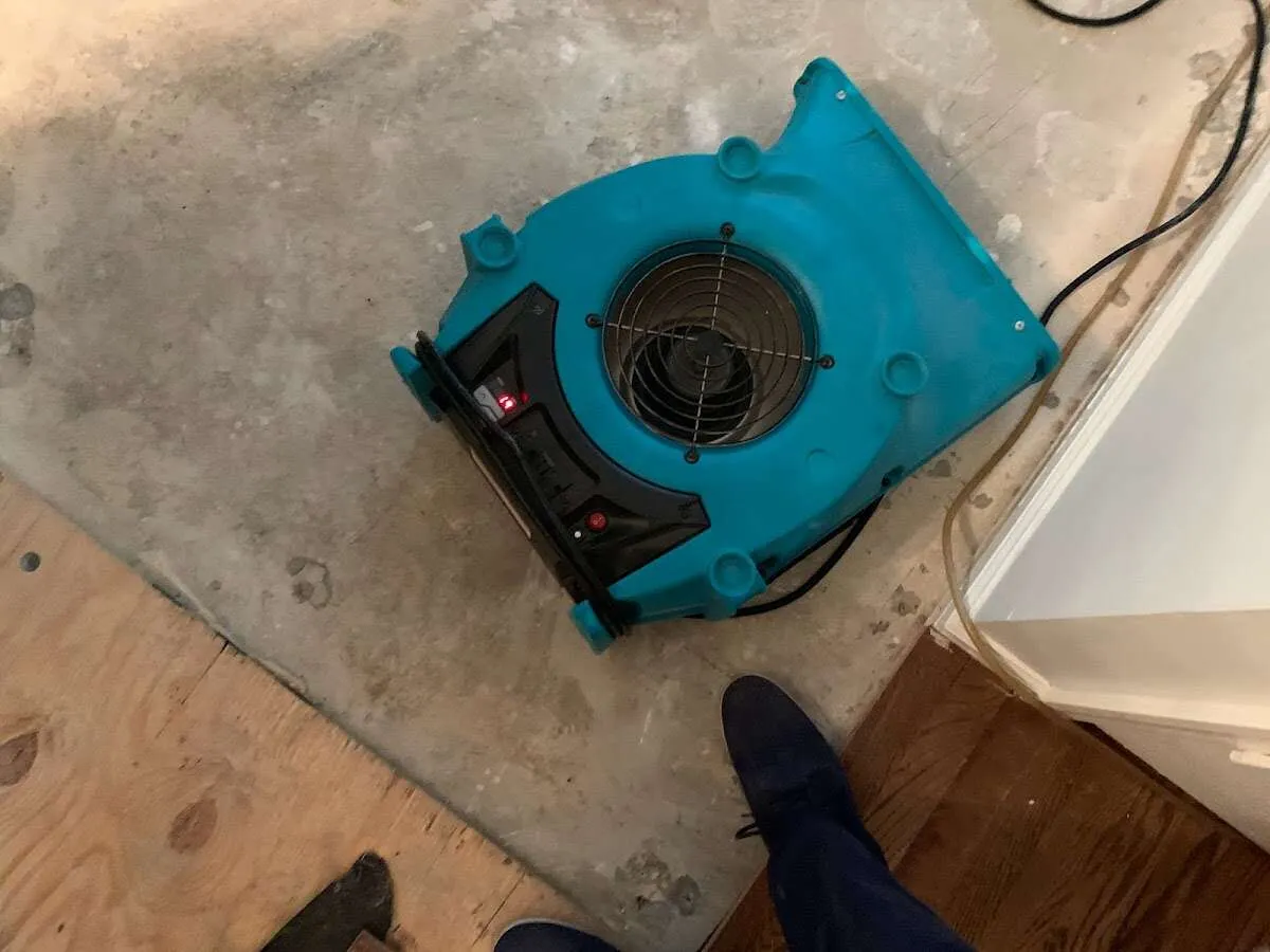 Air mover drying subfloor during Commercial Water Damage Restoration in Sun City Center